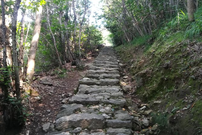 2 Days Trekking - Il Sentiero del Viandante: from Varenna to Colico - The Wayfarer’s Path: why this stretch of Lake Como works