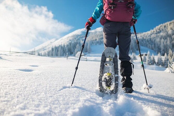 3 Hours of Snowshoeing with Alpine Guide in Val Brembana - Where you meet and what the start really feels like