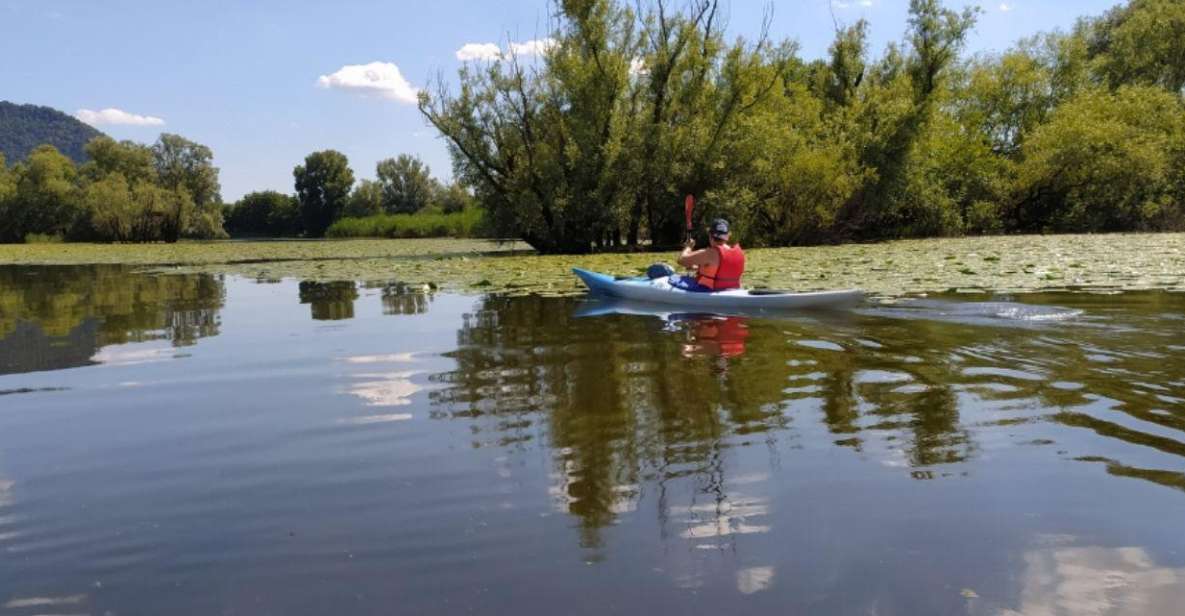 Adda River: Half day Kayak Trip - Adda River kayak: the whole point is a new viewpoint