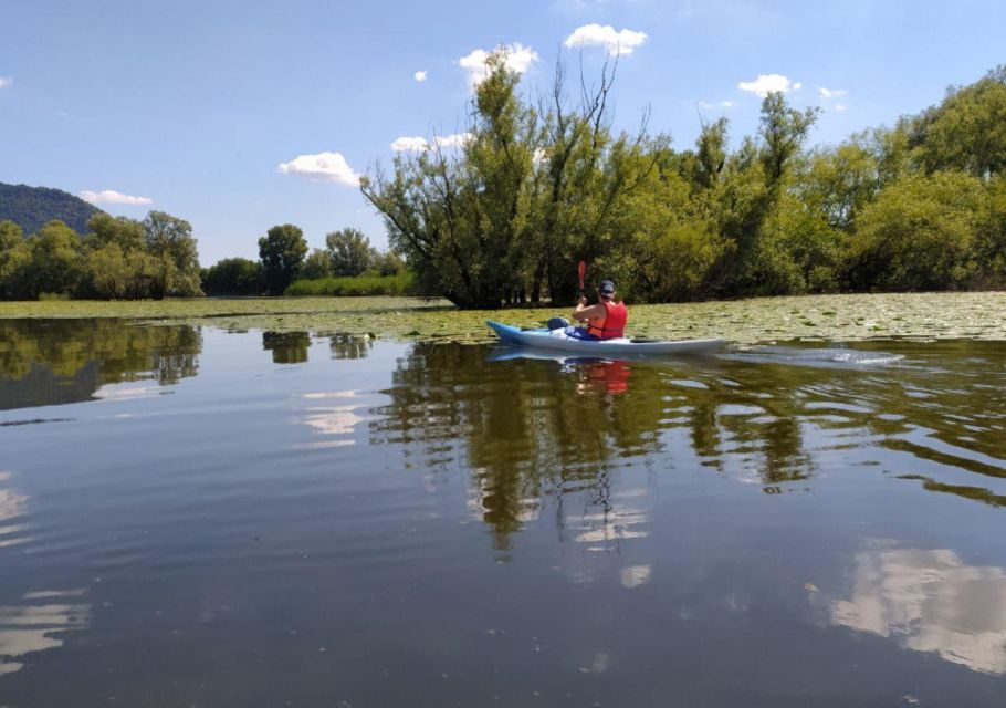 Adda River: Half day Kayak Trip - The bend-and-meander rhythm: what you’ll actually feel on the water