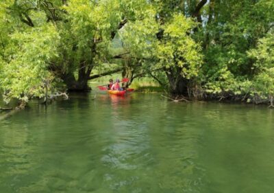 Adda River: Half day Kayak Trip - Paddling through wooded banks and water-bird territory
