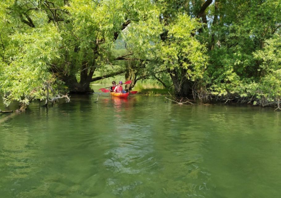 Adda River: Half day Kayak Trip - Paddling through wooded banks and water-bird territory