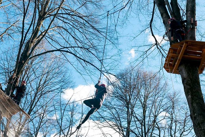Adult Daily ticket for Adventure Park in Gravedona - Your day on the mountain: timing, breaks, and snack-bar reality