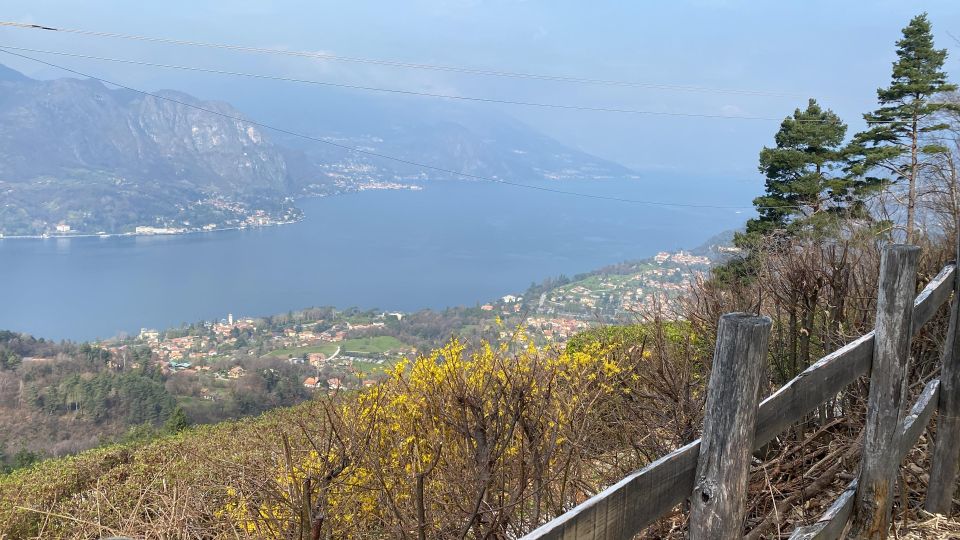 Bellagio: Exclusive picnic at the agrofarm with scenic view - Key things that make this Bellagio farm picnic work