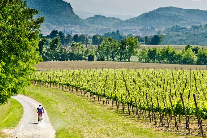 Bergamo and Franciacorta with lunch and cellar visit - Highlights You’ll Actually Care About