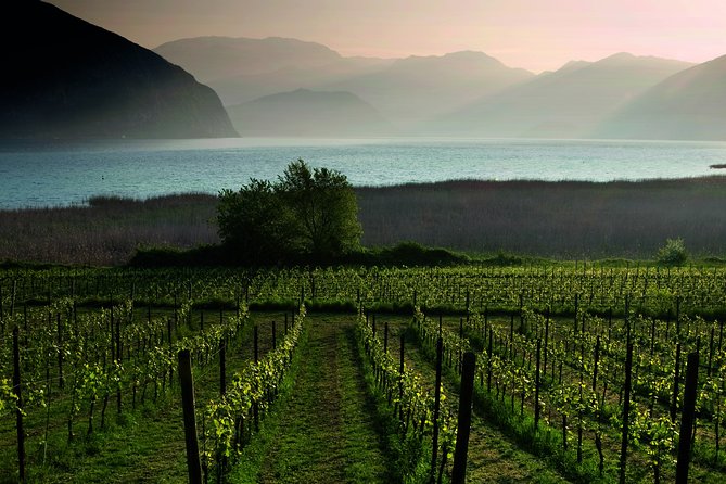 Bergamo and Franciacorta with lunch and cellar visit - Franciacorta Cellar Visit and DOCG Tasting That Actually Counts