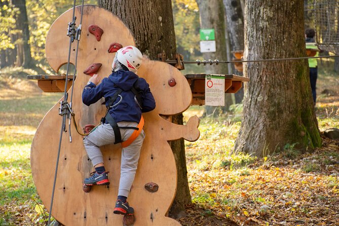 Children Daily Ticket for Adventure Park in Gravedona - Staff and Maintenance: Friendly Help Without Feeling Baby-Sat
