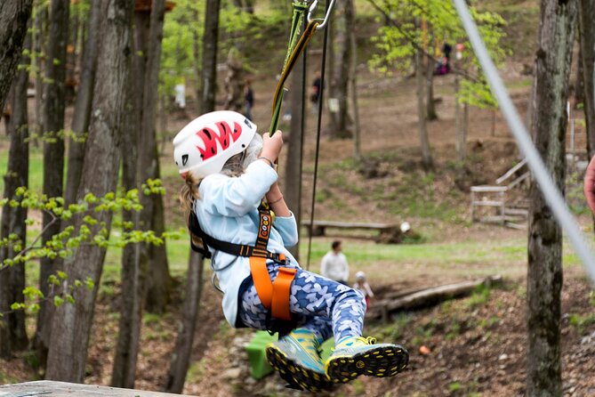 Children Daily Ticket for Adventure Park in Gravedona - Service Animals and Comfort for Real Families