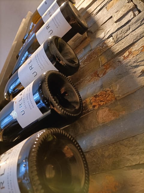 Como: Wine Tasting Experience with Cheese and Cold Cuts - Who should book this tasting in Como