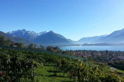 Domaso: Wine Tasting at the Winery on Como Lake - The tasting schedule: from cellar to terrace (and why 90 minutes can stretch)