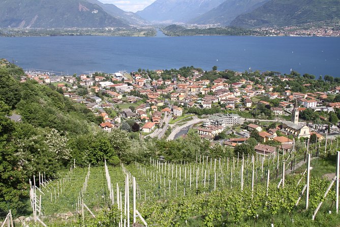 Domaso: Wine Tasting at the Winery on Como Lake - The wines and food pairings: ham, olive oil, cheese, and more