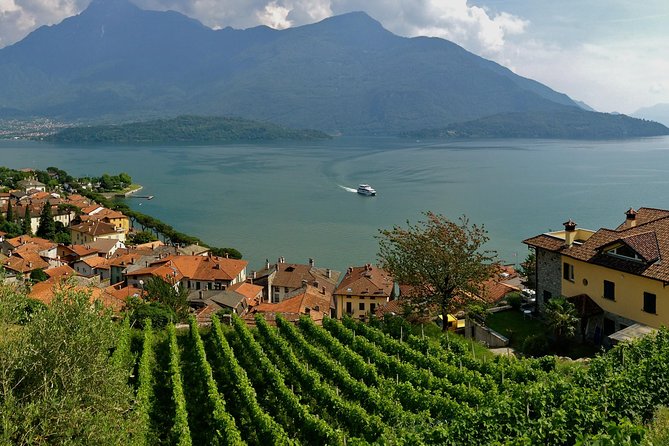Domaso: Wine Tasting at the Winery on Como Lake - Terrace time: why the view is more than decoration