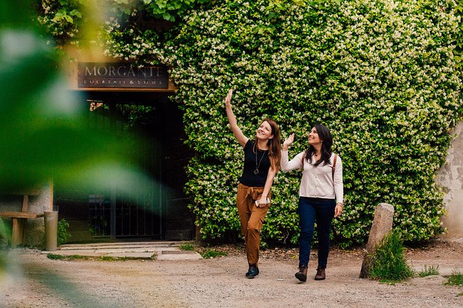 Drinks & Bites in Milan Private Tour - What’s included (and how to order with confidence)