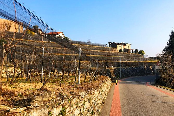 E-Bike Tour Lake Como and Swiss Vineyards - Stops that feel worth the quick stops: Cernobbio, Moltrasio, and Il Giardino della Valle