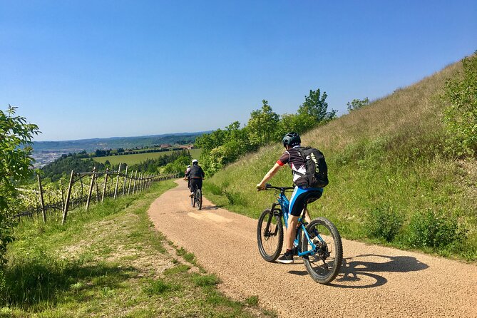 E-Bike Tour with Wine Tasting from Salò - Key highlights you’ll feel right away