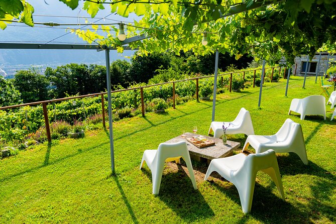 Family tasting - A little tasting - Two wines and typical products: why this pairing matters