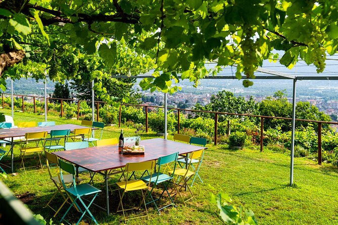 Family tasting - A little tasting - The Alps and Domodossola view: a payoff that costs nothing extra