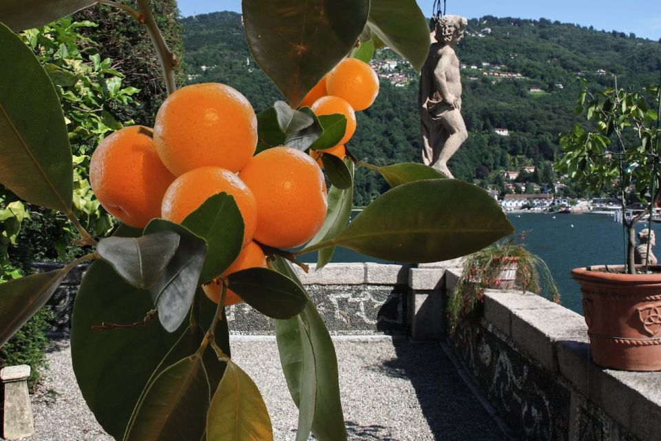From Lake Maggiore: Private Boat Tour with Pickup/Drop-off - Should you book this private Lake Maggiore boat day?