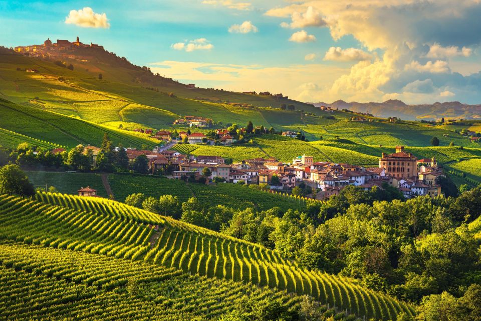 From Milan: Barolo Wine Tasting, Alba Tour and Castle Visit - Alba on foot: truffles, chocolate, and medieval wandering
