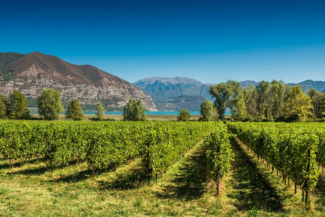 From Milan Full Day in Franciacorta 2 Wineries and Lunch - Key highlights