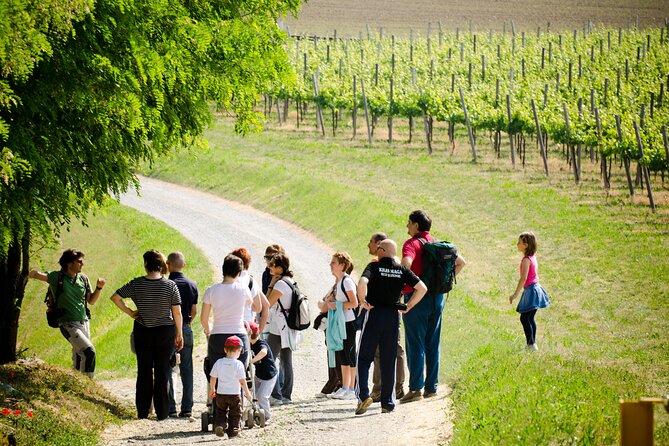 From Milan Full Day in Franciacorta 2 Wineries and Lunch - The role of the guide: what makes the day feel like a real tour