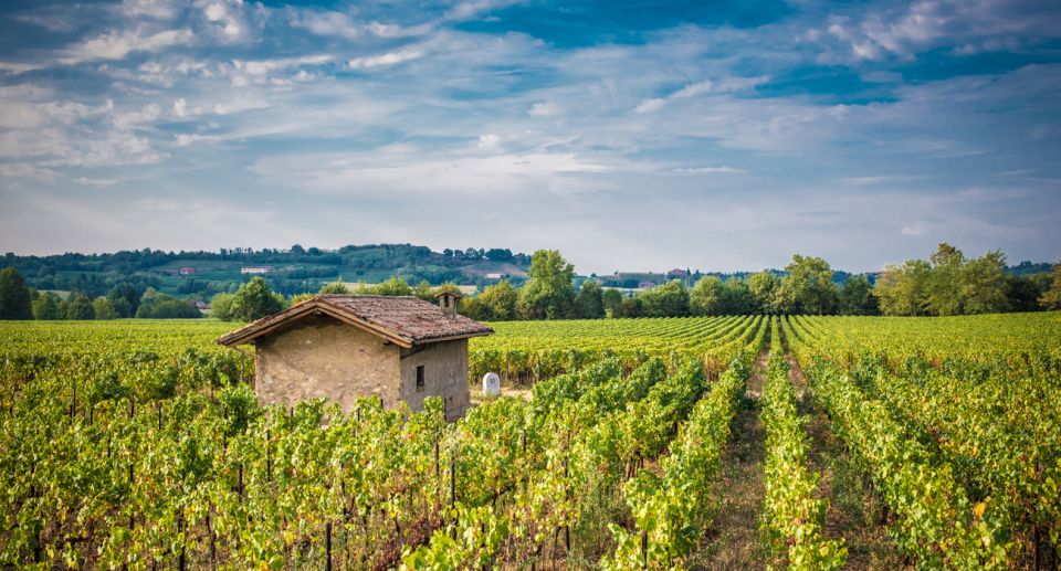 From Milan: Full Day in Franciacorta. 2 Wineries & Lunch - Key things that make this day trip work