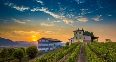 From Milan: Full Day in Franciacorta. 2 Wineries & Lunch - Stop 1 at Ronco Calino: soil, terroir, and a first tasting that sets the tone