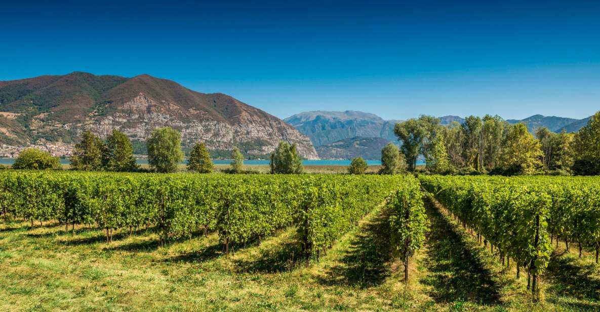 From Milan: Full Day in Franciacorta. 2 Wineries & Lunch - Scenic stops and the vineyards behind the views