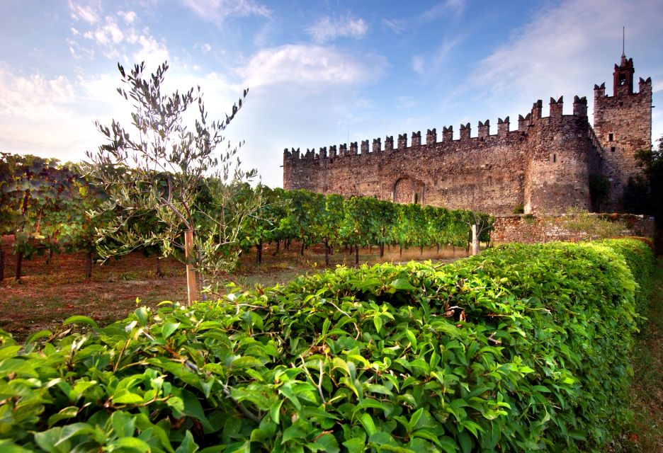 From Milan: Full Day in Franciacorta. 2 Wineries & Lunch - Price and value: what $373.84 gets you in real terms