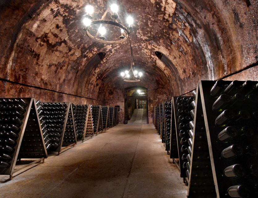 From Milan: Full Day in Franciacorta. 2 Wineries & Lunch - Should you book this Franciacorta day trip from Milan?
