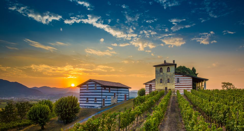 From Milan: Full Day in Franciacorta. 2 Wineries & Lunch - Stop 1 at Ronco Calino: soil, terroir, and a first tasting that sets the tone