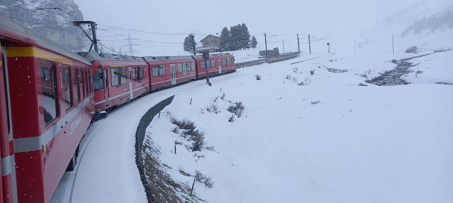 From Milan: Lake Como and Bernina Train Day Trip - Price and value: is $203 per person worth it?