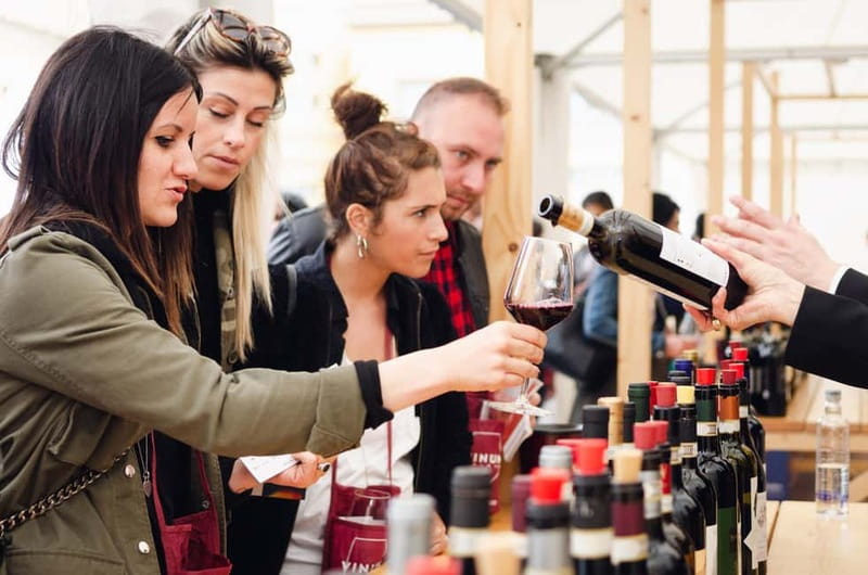 From Milan: Langhe Wine Region Day Trip with Barolo Tasting - Key things I think you’ll enjoy about this Langhe day trip