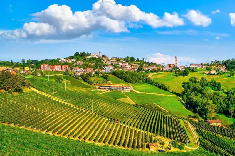 From Milan: Langhe Wine Region Day Trip with Barolo Tasting - The winery visit: what the guided six-glass tasting actually teaches