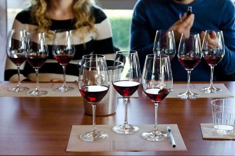 From Milan: Langhe Wine Region Day Trip with Barolo Tasting - Castello di Grinzane Cavour: the photo stop with real meaning