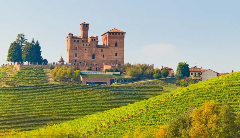 From Milan: Langhe Wine Region Day Trip with Barolo Tasting - Barolo versus Alba: how the season changes your whole day