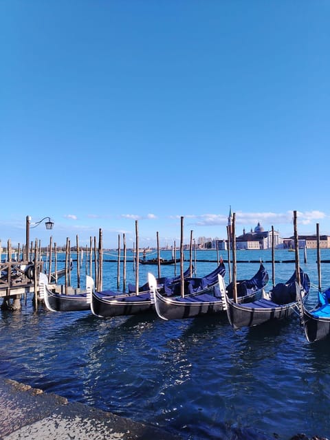 From Milan: Venice City Highlights Guided Day Trip - Guided Highlights in Venice: Piazza San Marco to Rialto Bridge