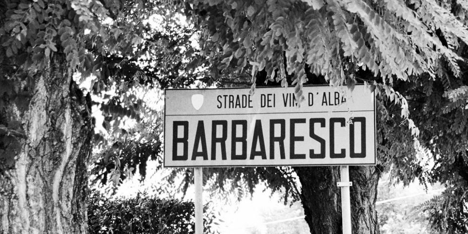 Full-Day Barbaresco Wine Tour with Truffle Hunting and Lunch - Key Things That Make This Tour Special