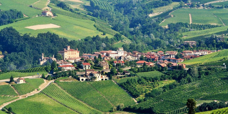 Full-Day Barbaresco Wine Tour with Truffle Hunting and Lunch - FAQ