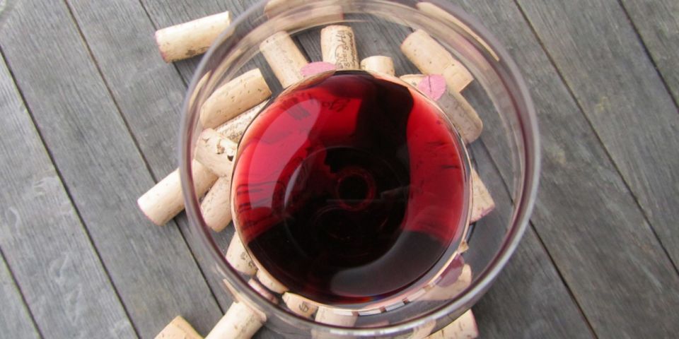 Full-Day Barbaresco Wine Tour with Truffle Hunting and Lunch - From Turin to the Langhe: How the Day Sets the Tone