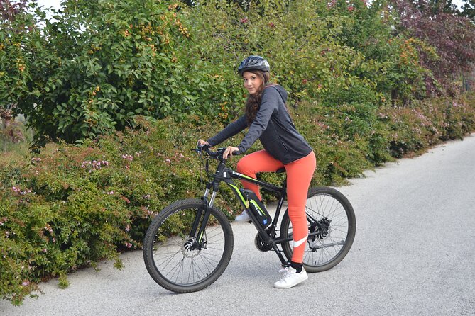 Guided e-bike tour on Lake Como - Menaggio start: setup with Dante and the first Como views