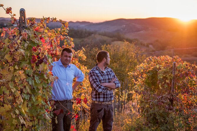 Guided tour of vineyards and winery with tasting 4 wines - Key Highlights at a Glance