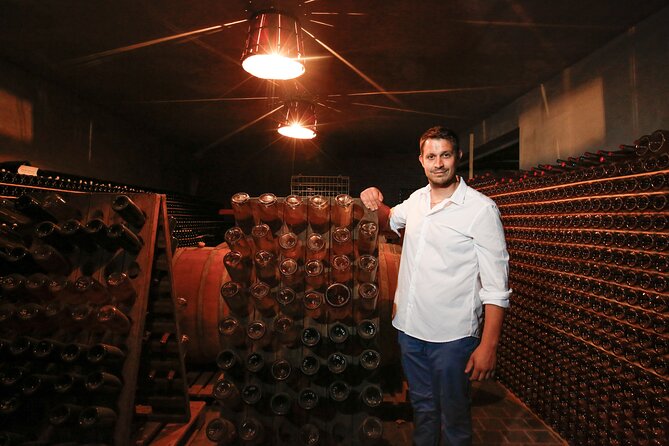 Guided tour of vineyards and winery with tasting 4 wines - Cristian’s Vineyard Walk: Organic Rows and Biodiversity Talk