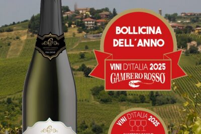 Guided tour of vineyards and winery with tasting 4 wines - Starting at Calatroni Vini: What to Expect Before You Walk