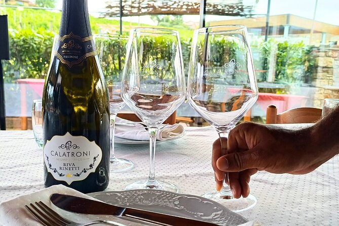 Guided tour of vineyards and winery with tasting 4 wines - Cellars Matter: Winemaking and Aging in Real Terms