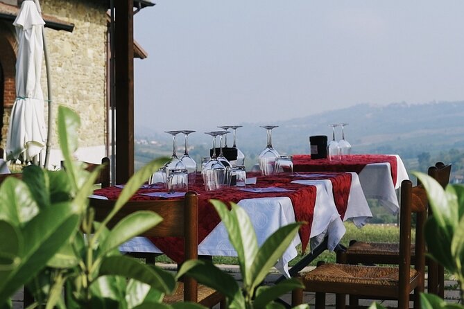 Guided tour of vineyards and winery with tasting 4 wines - Stefano’s Four-Wine Tasting: Learn the Steps, Not Just the Names