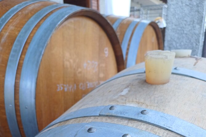 Guided tour of vineyards and winery with tasting 4 wines - Price and Value: Why $22.86 Feels Fair