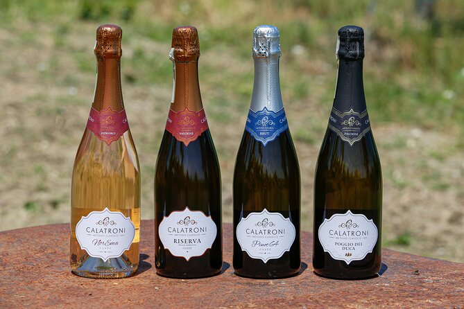 Guided tour of vineyards and winery with tasting 4 wines - Who Should Book This Tour (and Who Might Not Need It)