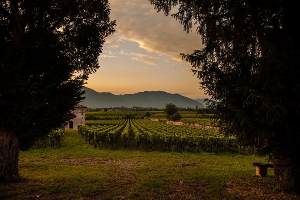 Half-Day Food and Wine Experience in Franciacorta - Entering the winery: origins, production phases, and the second fermentation cellar