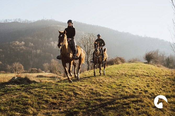Horseback riding for experts between the lake and the mountains - Key Highlights You’ll Feel (Not Just See)